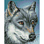 Мозаичная картина на подрамнике 20*25 Серый волк