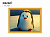 Картина 2в1 Алмазная мозаика и раскрашивание по номерам 30х40см Пингвин